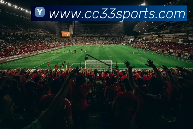 多媒体互动体验